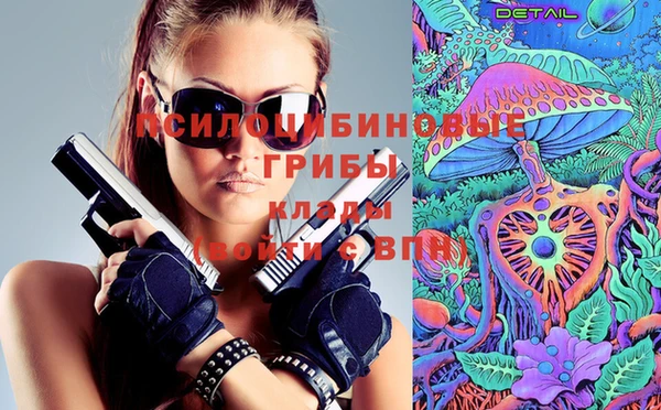 крисы Арсеньев