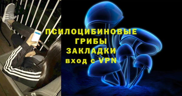ECSTASY Алзамай