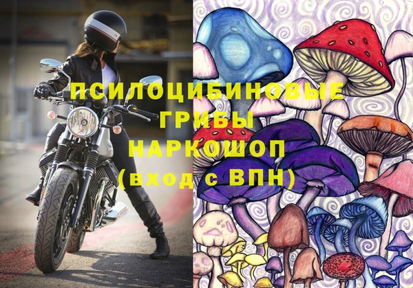 МДПВ Аркадак